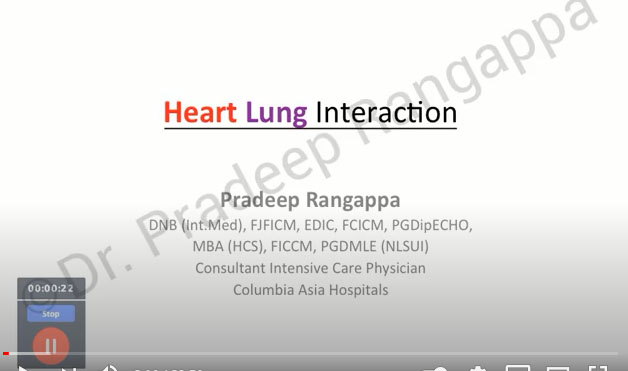 heart-lung-interaction